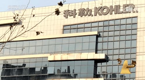 315曝光警示 商品批發(fā)貿(mào)易暗藏貓膩，消費(fèi)者與企業(yè)需共同警惕