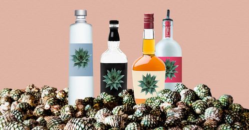 無酒精飲品如何實現(xiàn)“酒香四溢”？看國外酒企創(chuàng)新酒精飲料的三大路徑