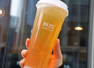 奶茶與微醺的華爾茲 北京8家熱門(mén)店深度測(cè)評(píng)報(bào)告